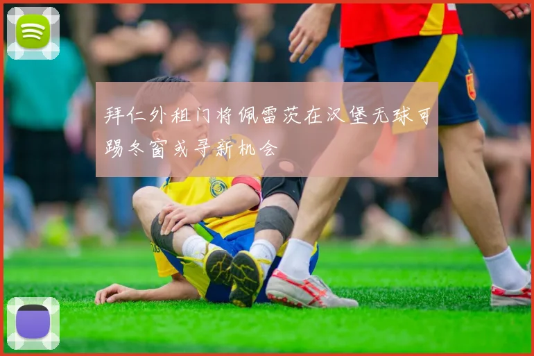 拜仁外租门将佩雷茨在汉堡无球可踢冬窗或寻新机会