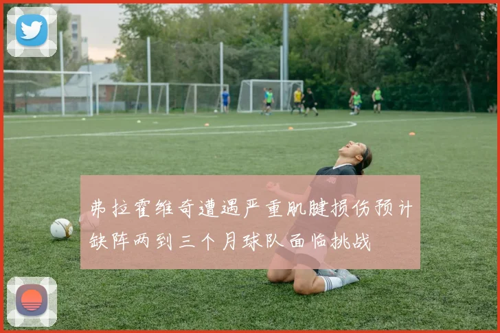 弗拉霍维奇遭遇严重肌腱损伤预计缺阵两到三个月球队面临挑战
