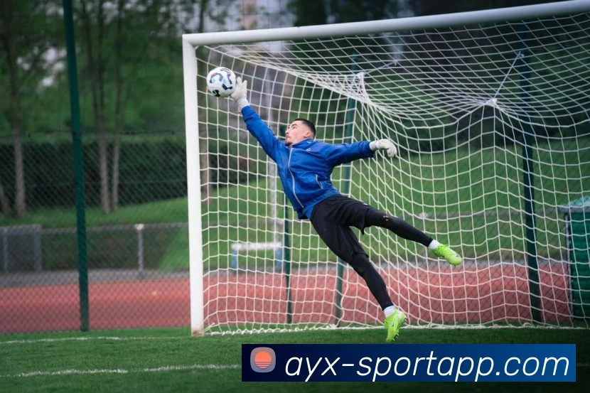 爱游戏体育服务体系